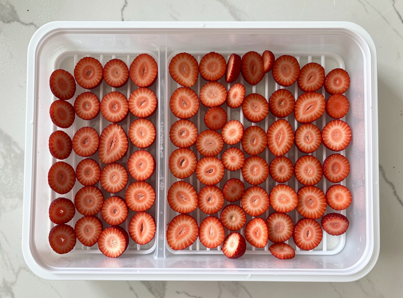 Freeze dryer trays loaded with sliced fruit at sensible density before a cycle