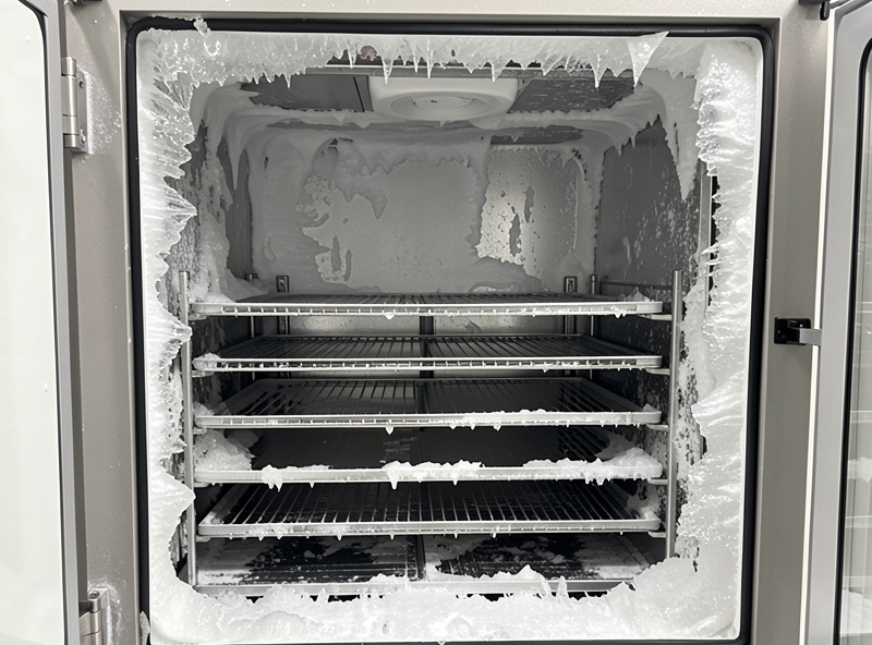 Frost and ice buildup on the interior wall of a home freeze dryer chamber