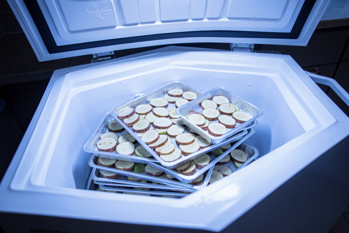 Pre-Freezing Before Freeze Drying: Why It Speeds Cycles